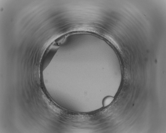 X0000088470980200706121525