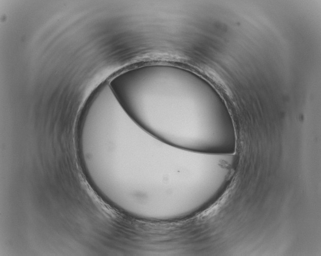 X0000088470981200706121525