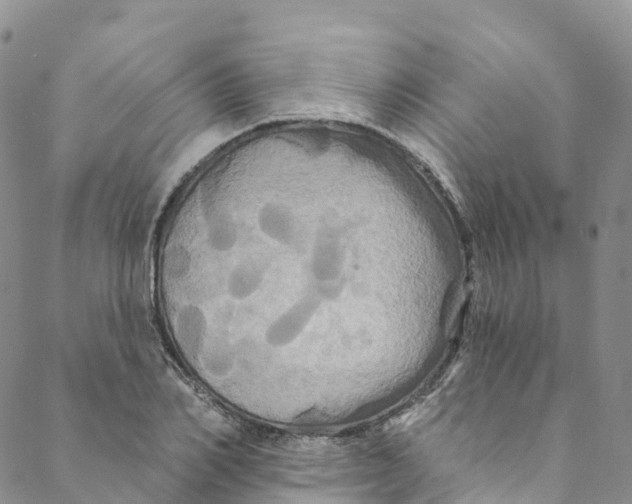 X0000088470982200706121525