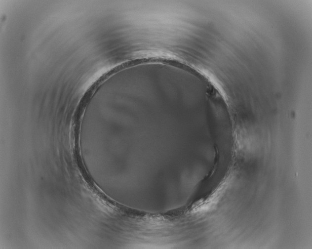 X0000088470983200706121525