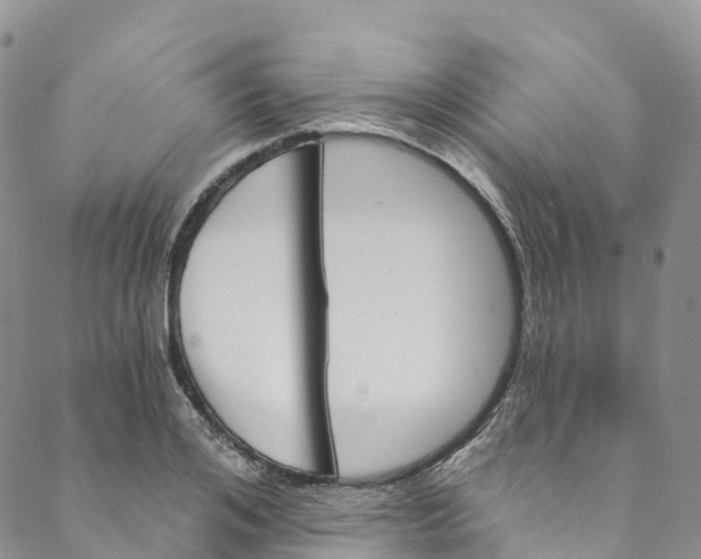 X0000088470984200706121525