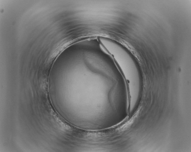 X0000088470985200706121525