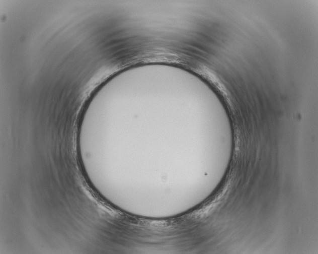 X0000088470986200706121525