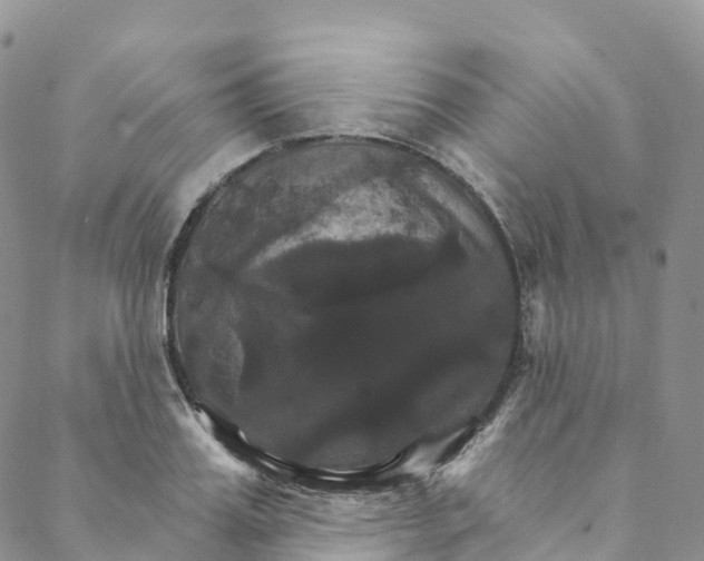 X0000088470987200706121525