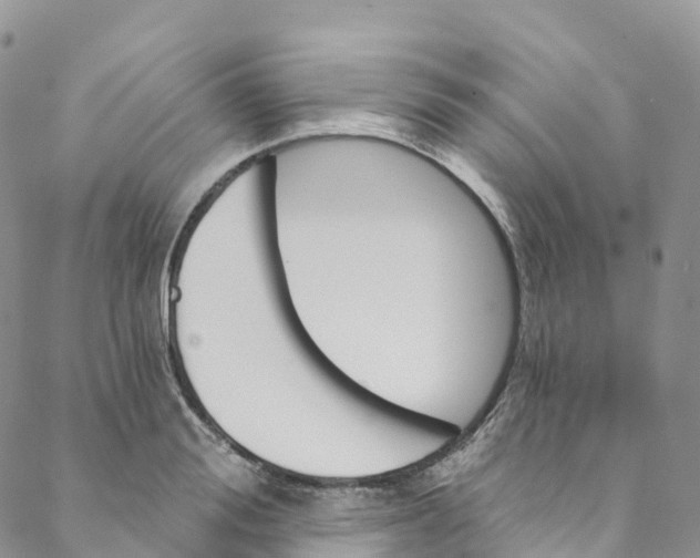 X0000088470988200706121525