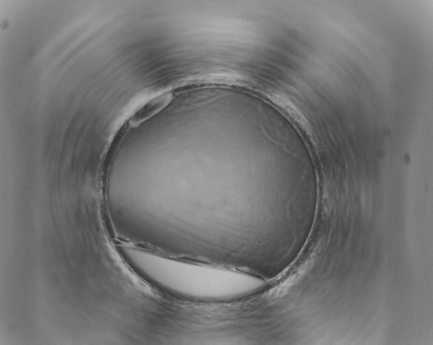 X0000088470989200706121525