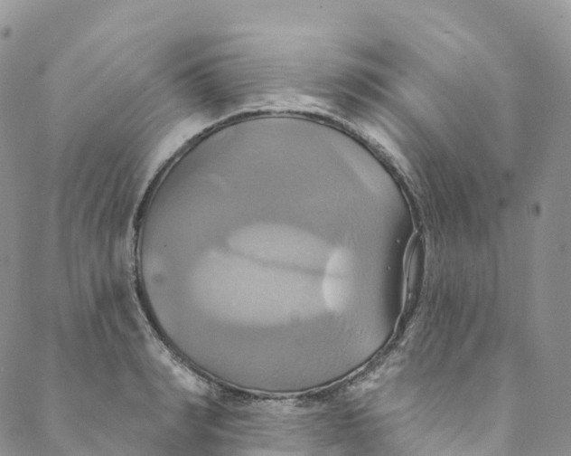 X0000088470990200706121525