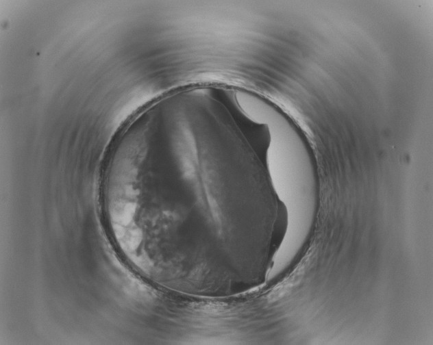 X0000088470991200706121525