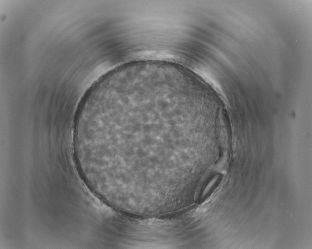 X0000088470992200706121525