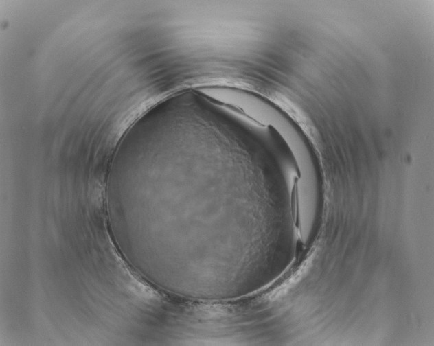 X0000088470993200706121525