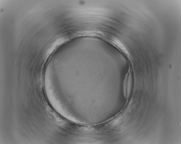 X0000088470994200706121525