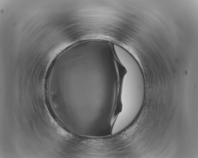 X0000088470995200706121525