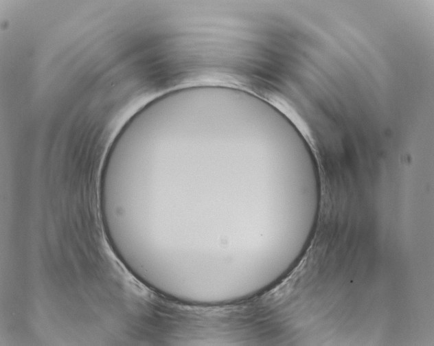 X0000088470996200706121525