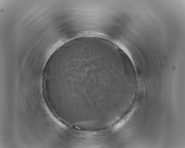 X0000088470997200706121525