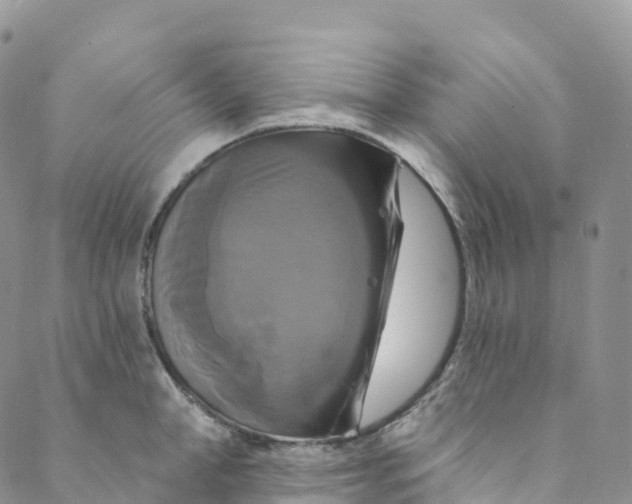 X0000088470998200706121525