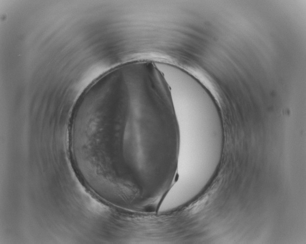 X0000088470999200706121525