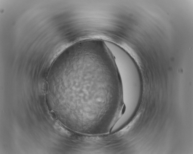 X0000088471001200706121525