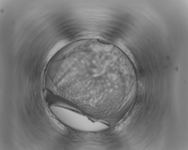 X0000088471002200706121525