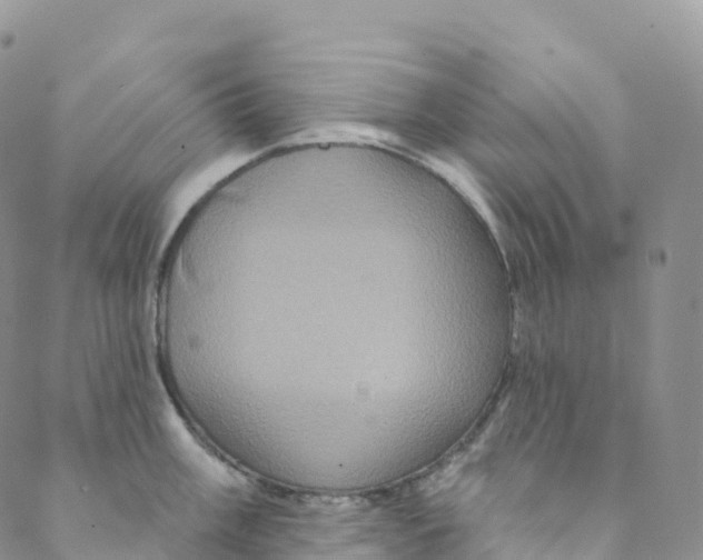 X0000088471003200706121525