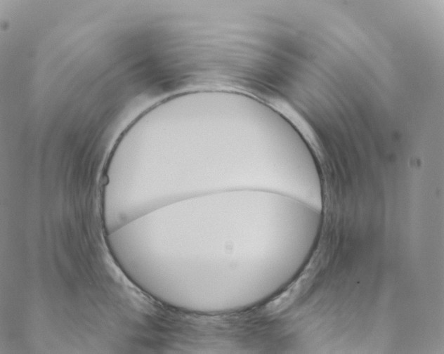 X0000088471004200706121524