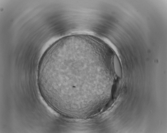 X0000088471005200706121524