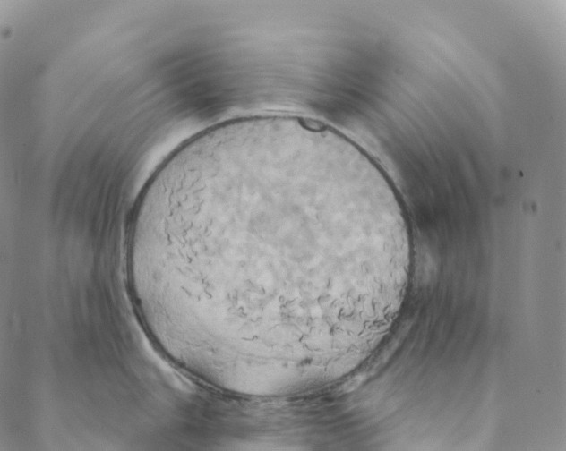 X0000088471006200706121524