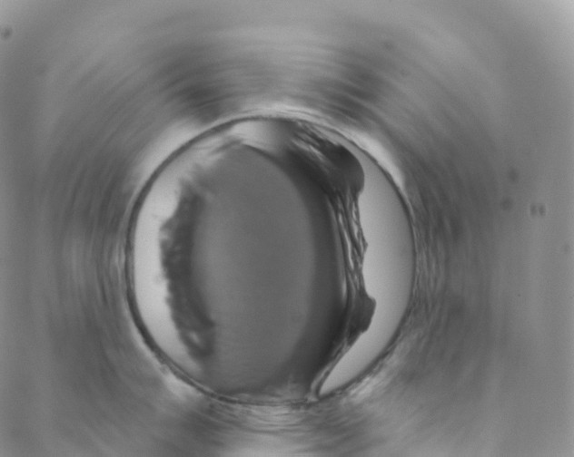 X0000088471007200706121524