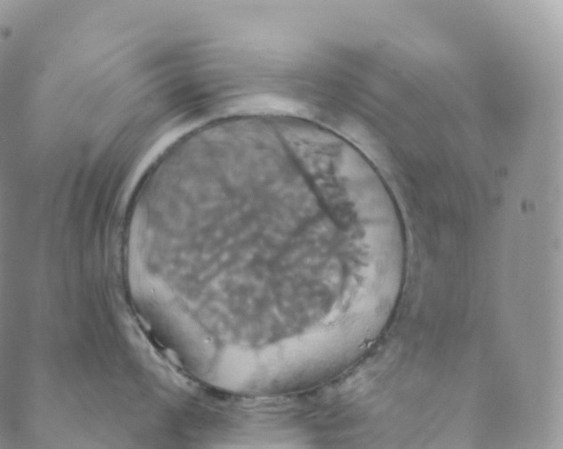 X0000088471008200706121524