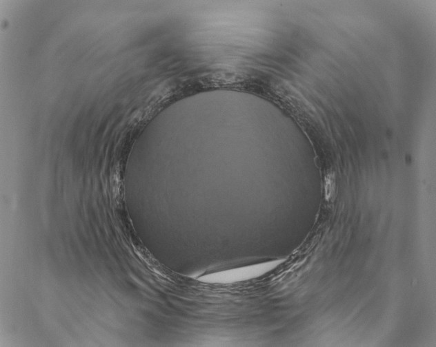 X0000088471011200706121524