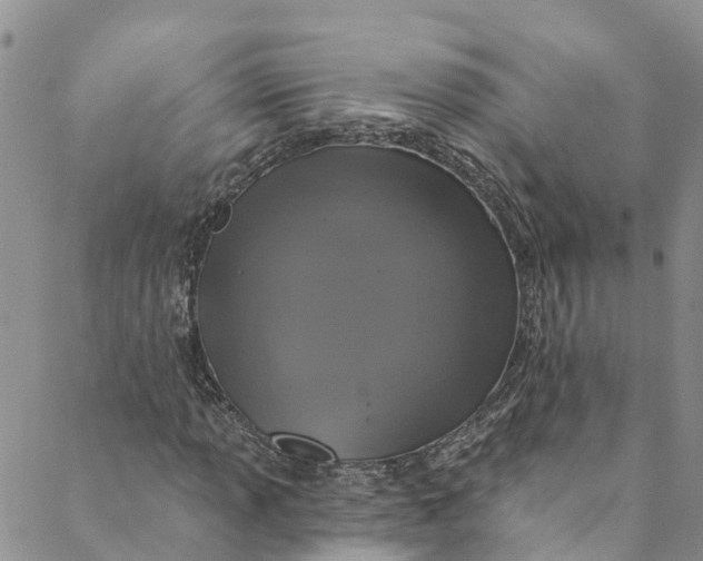 X0000088471013200706121524