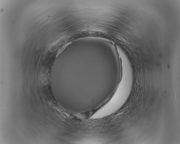 X0000088471014200706121524