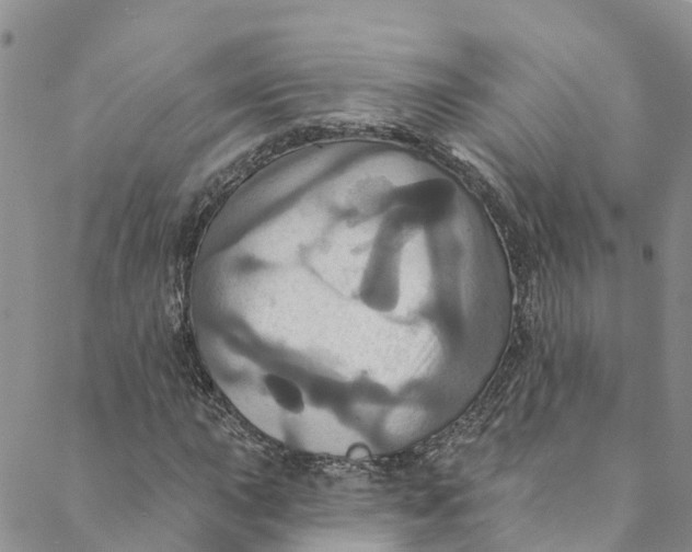 X0000088471015200706121524