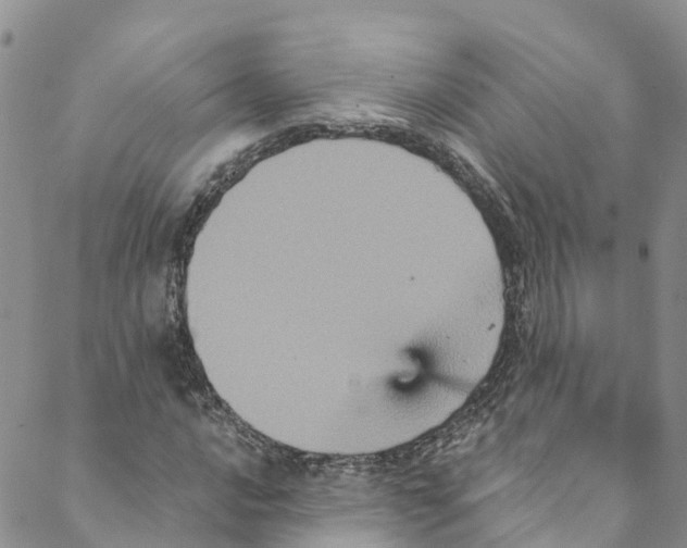 X0000088471016200706121524