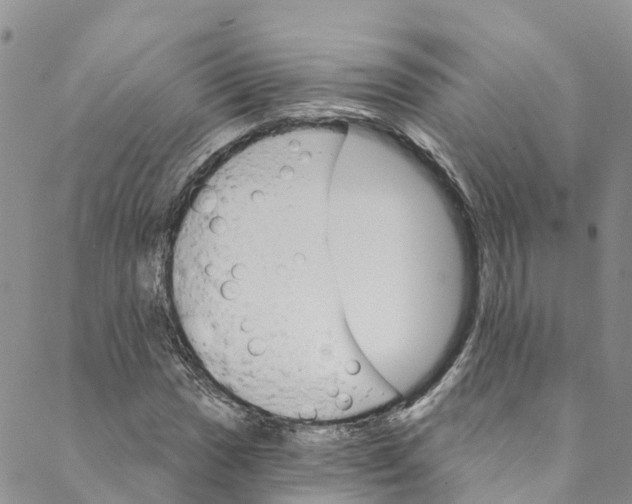 X0000088471017200706121524