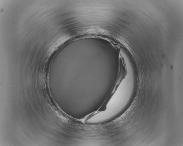 X0000088471018200706121524