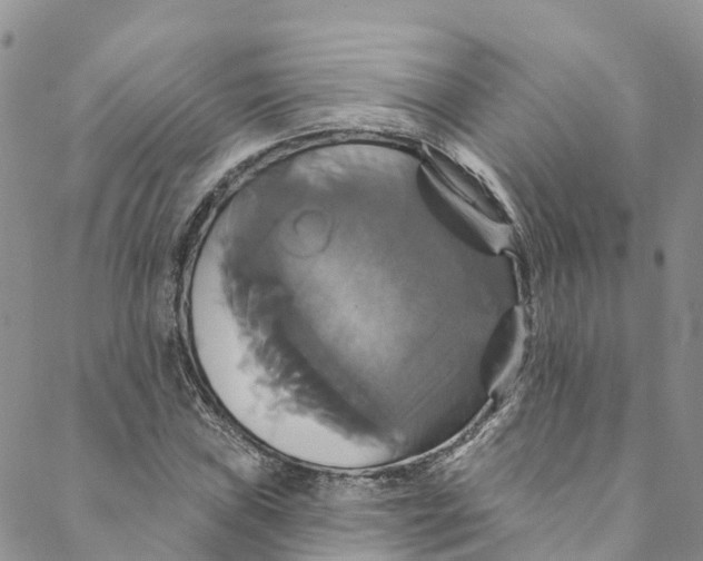 X0000088471019200706121524