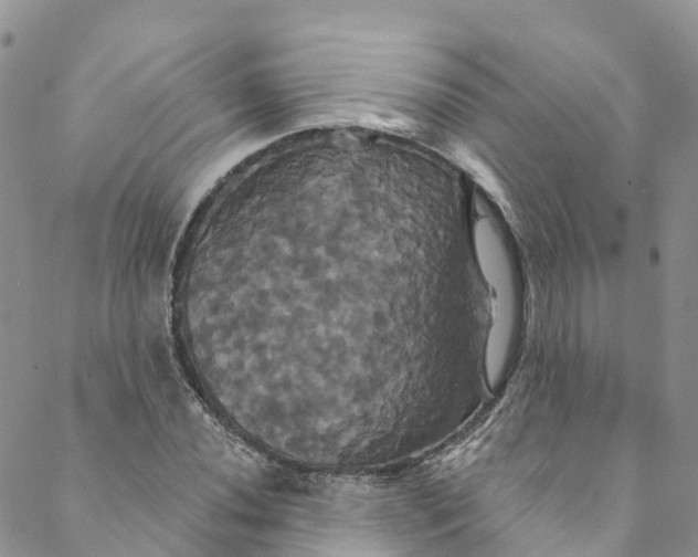 X0000088471020200706121524