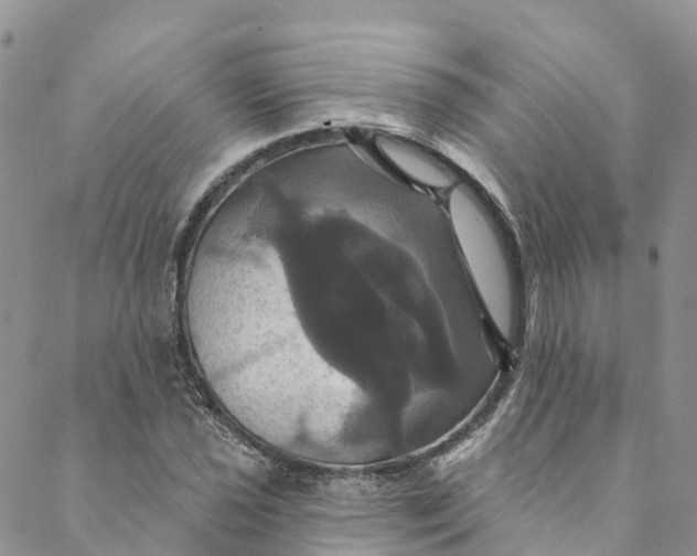 X0000088471021200706121524