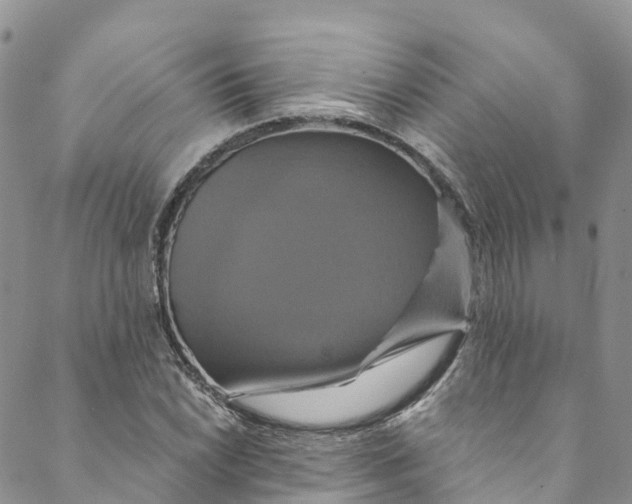 X0000088471022200706121524