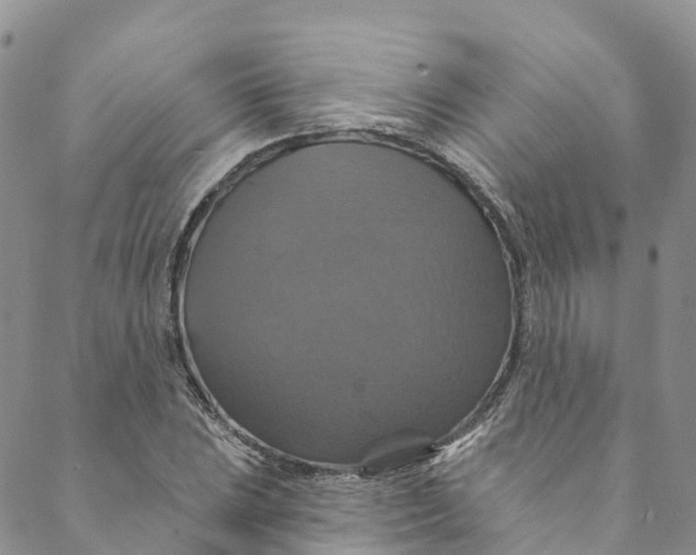 X0000088471023200706121524