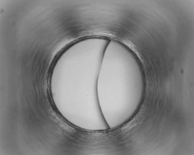 X0000088471024200706121524