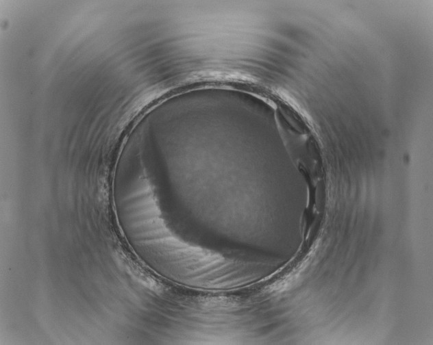 X0000088471025200706121524