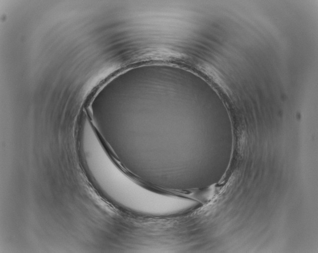 X0000088471026200706121524