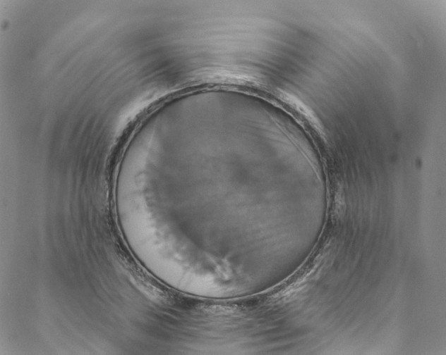 X0000088471027200706121524