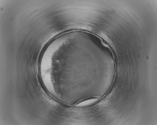 X0000088471028200706121524