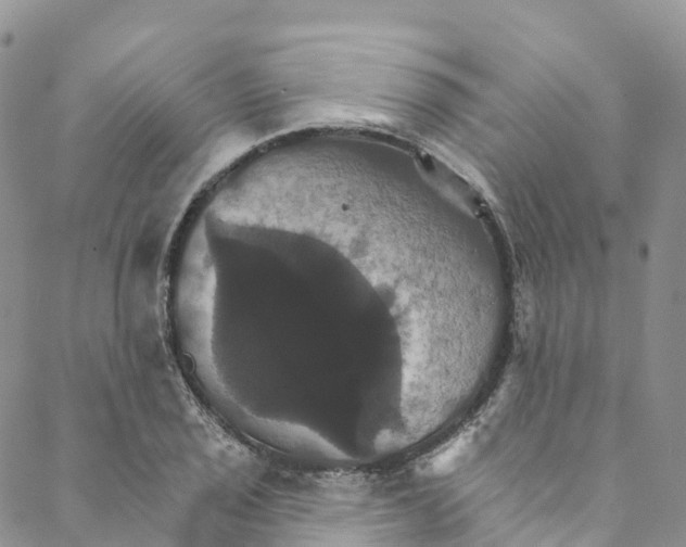 X0000088471029200706121524