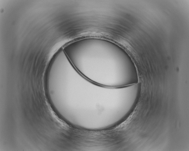 X0000088471030200706121524