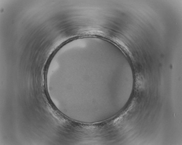 X0000088471031200706121524