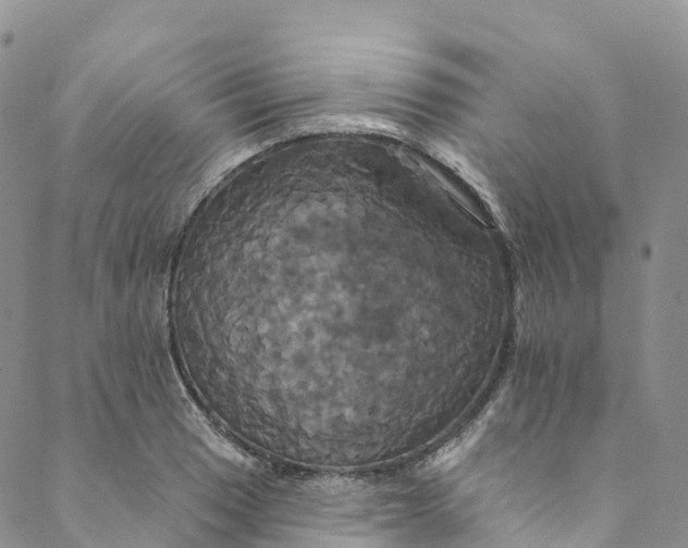 X0000088471033200706121524