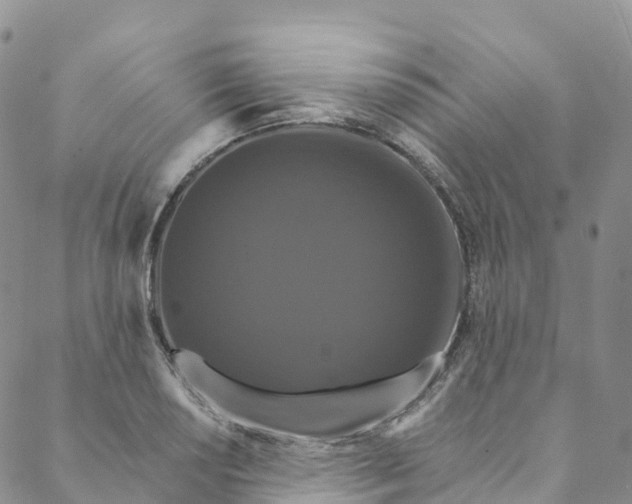 X0000088471034200706121524